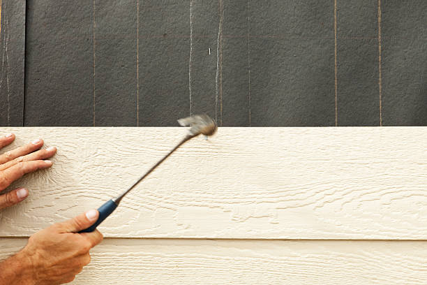 Best Siding Painting and Refinishing  in Manheim, PA